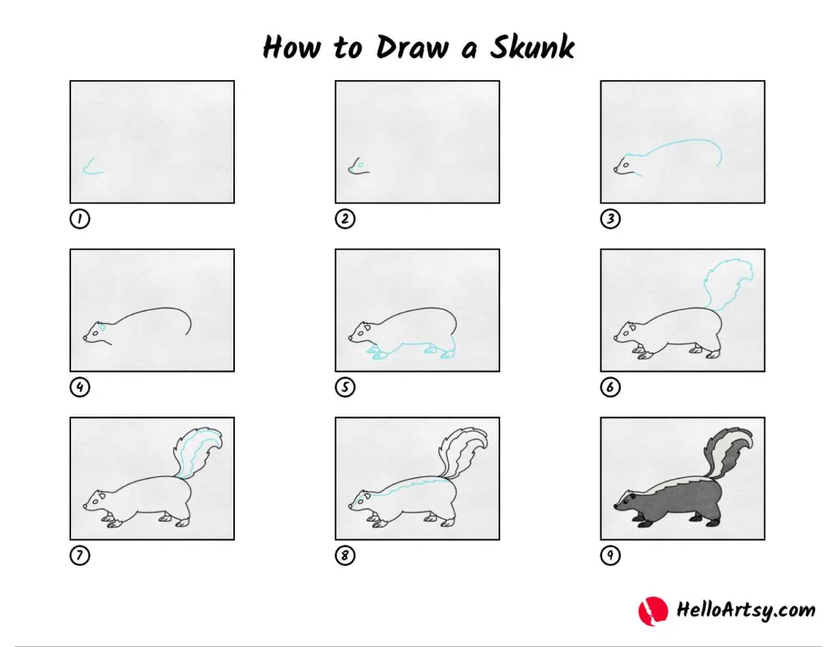How to Draw a Skunk