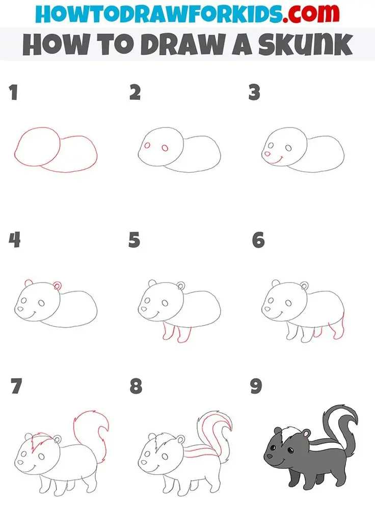 How to Draw a Skunk