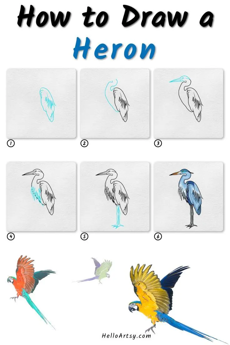 How to Draw a Heron :) Learn to Draw in 6 EASY STEPS!