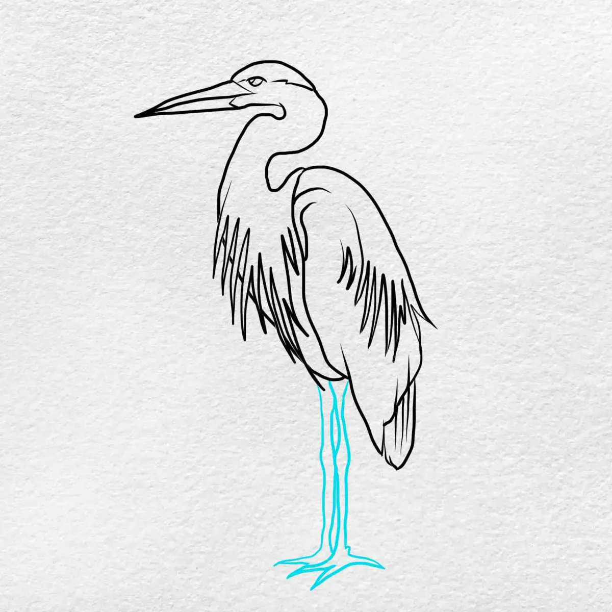 How to Draw a Heron