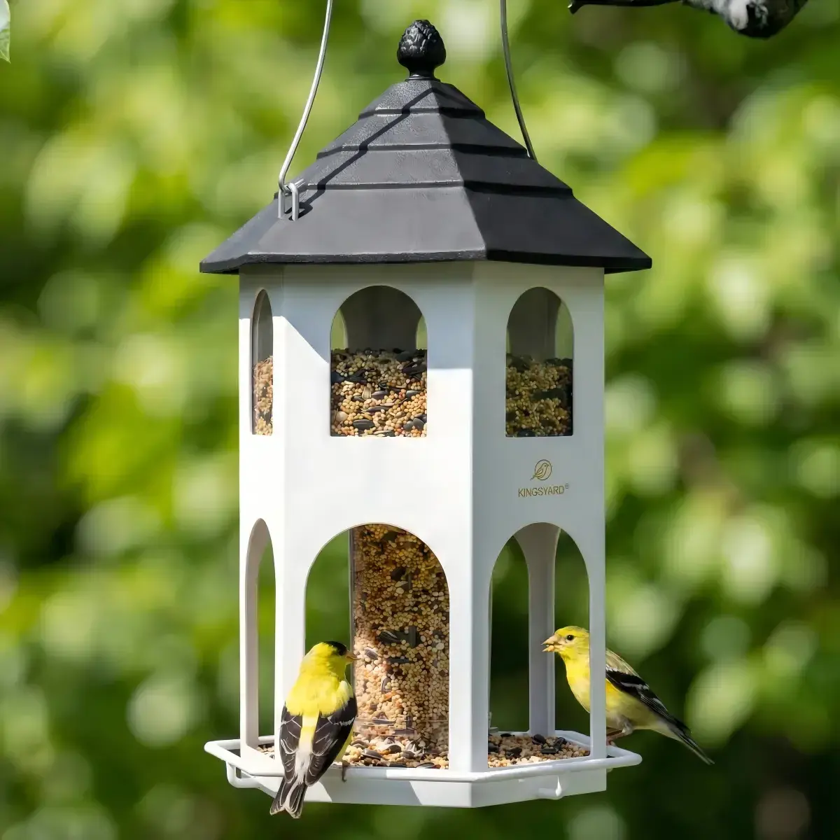 Top Rated House, Chickadees, 360 Degree Perch Bird Feeders at kingsyard.com