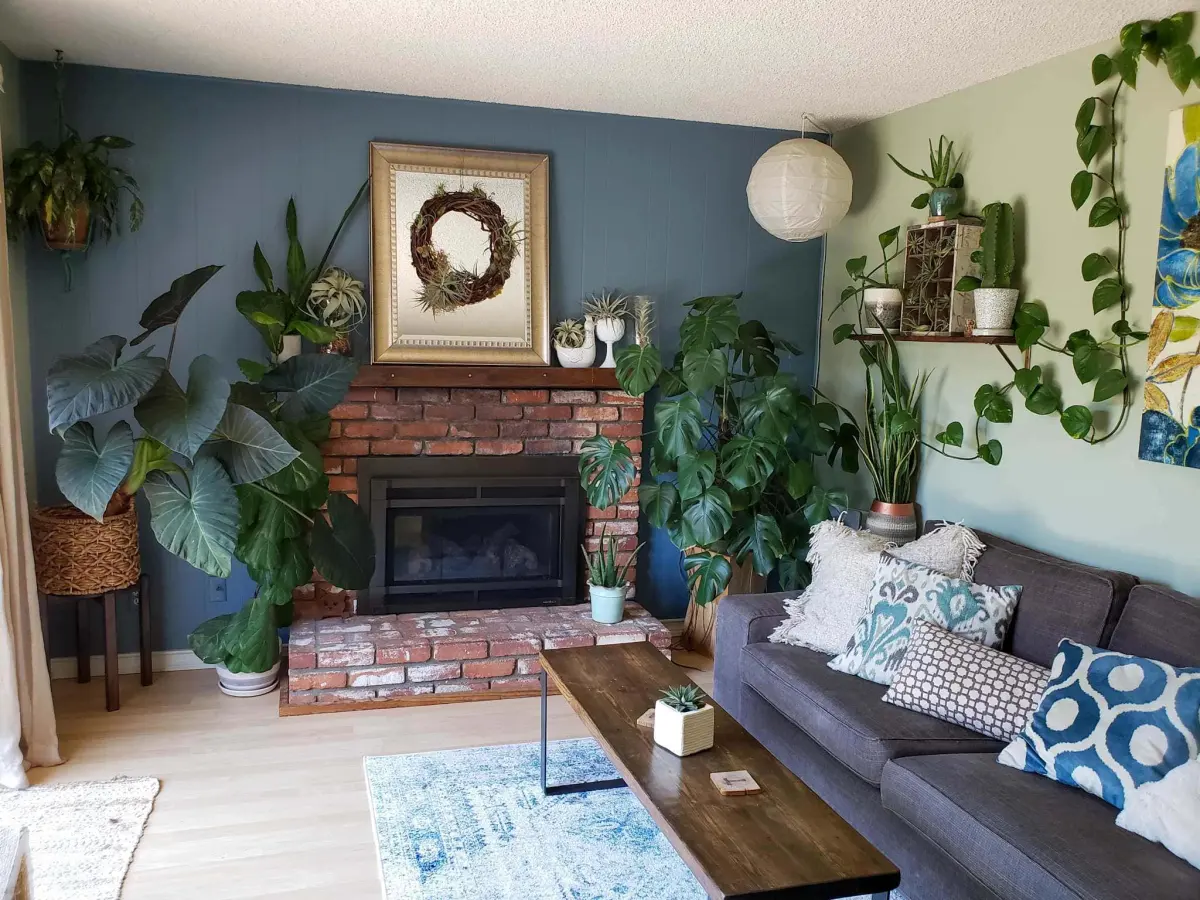 Houseplant Care 101: The Ultimate Guide to Happy & Healthy Indoor Plants ~ Homestead and Chill