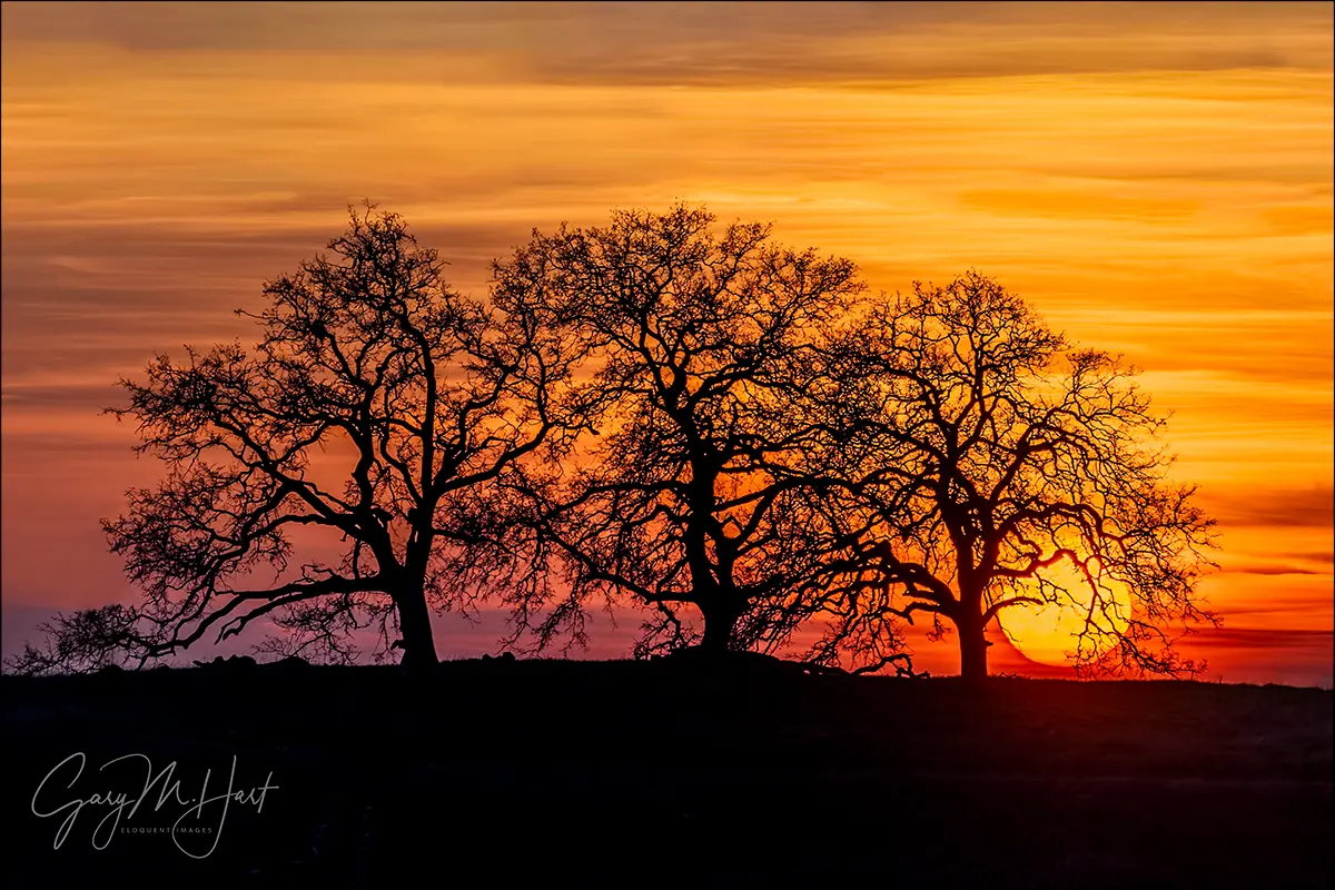 Sunsets are Red Because the Sky is Blue
