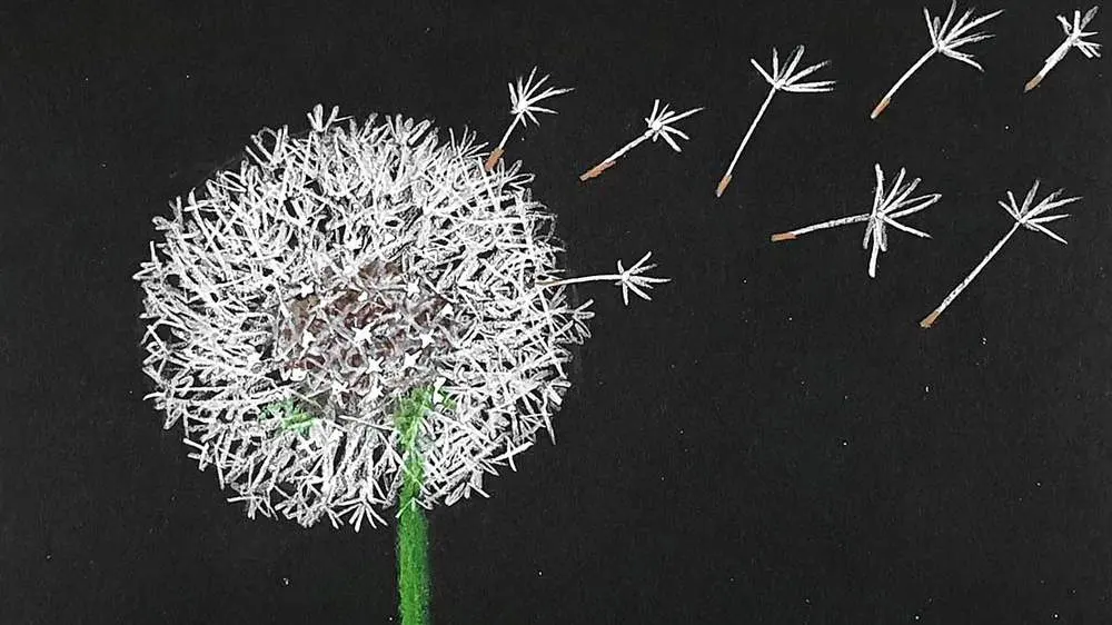 How To Draw A Dandelion