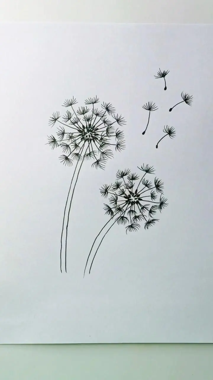 How to draw dandelion