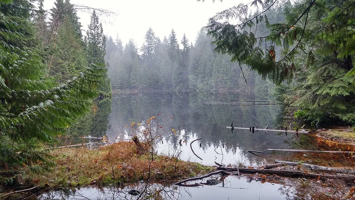 THE 30 BEST Places to Visit in Coquitlam (2026)