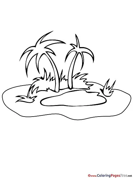 Oasis printable Summer Coloring Sheets