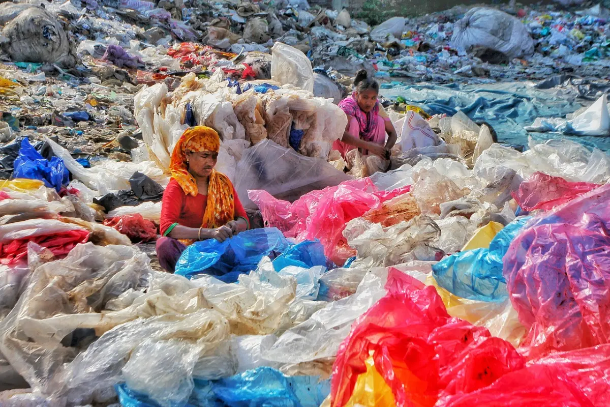 Plastic Pollution Facts & Statistics
