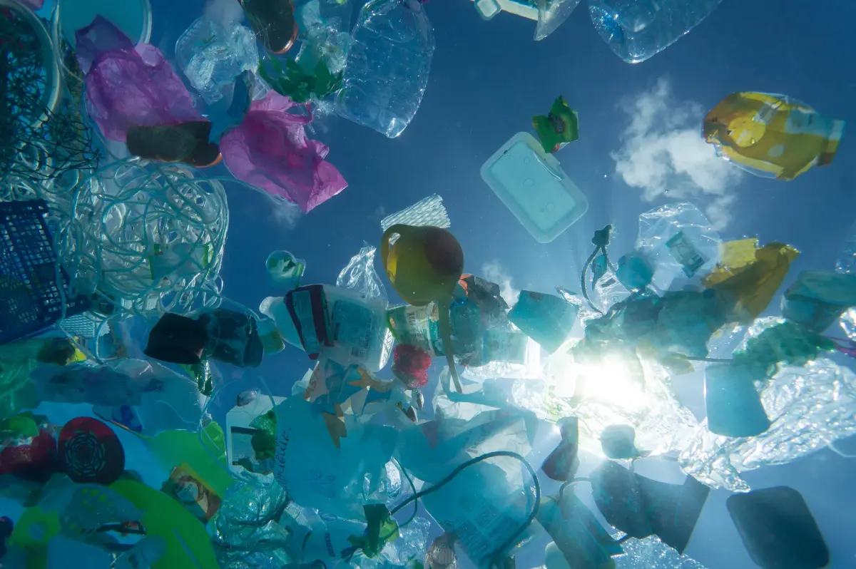 Where Does All the Plastic Go?