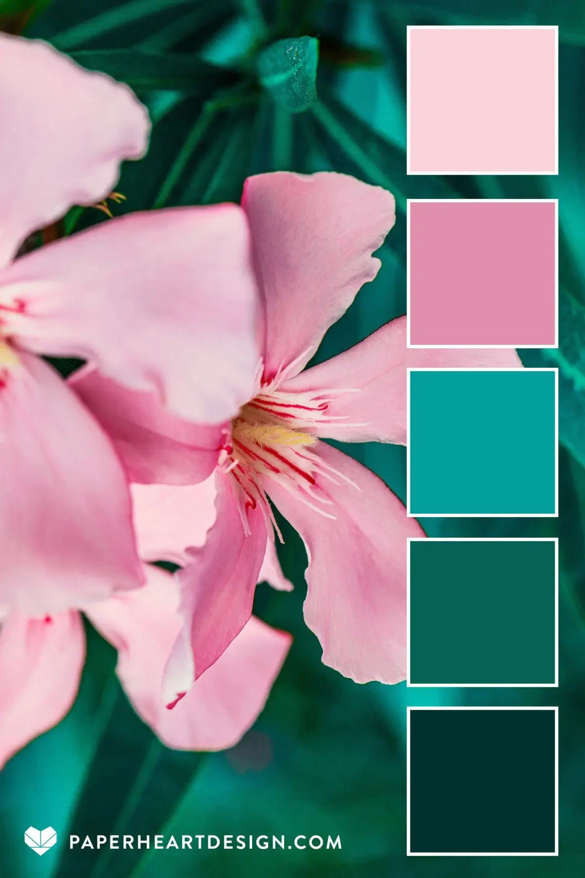 Color Palette: Pretty in Pink