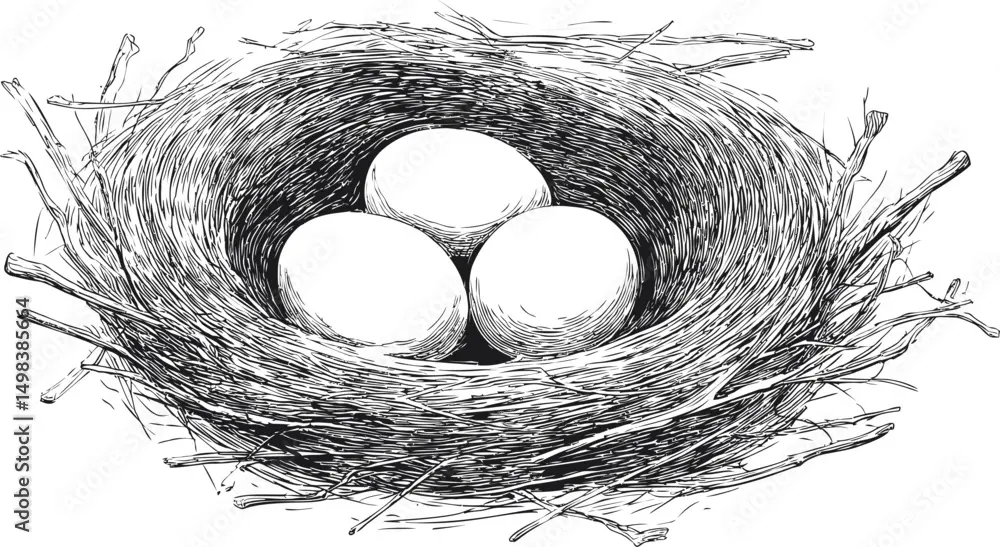 Detailed black and white drawing of a bird's nest with three eggs, intricate design. illustration Stock