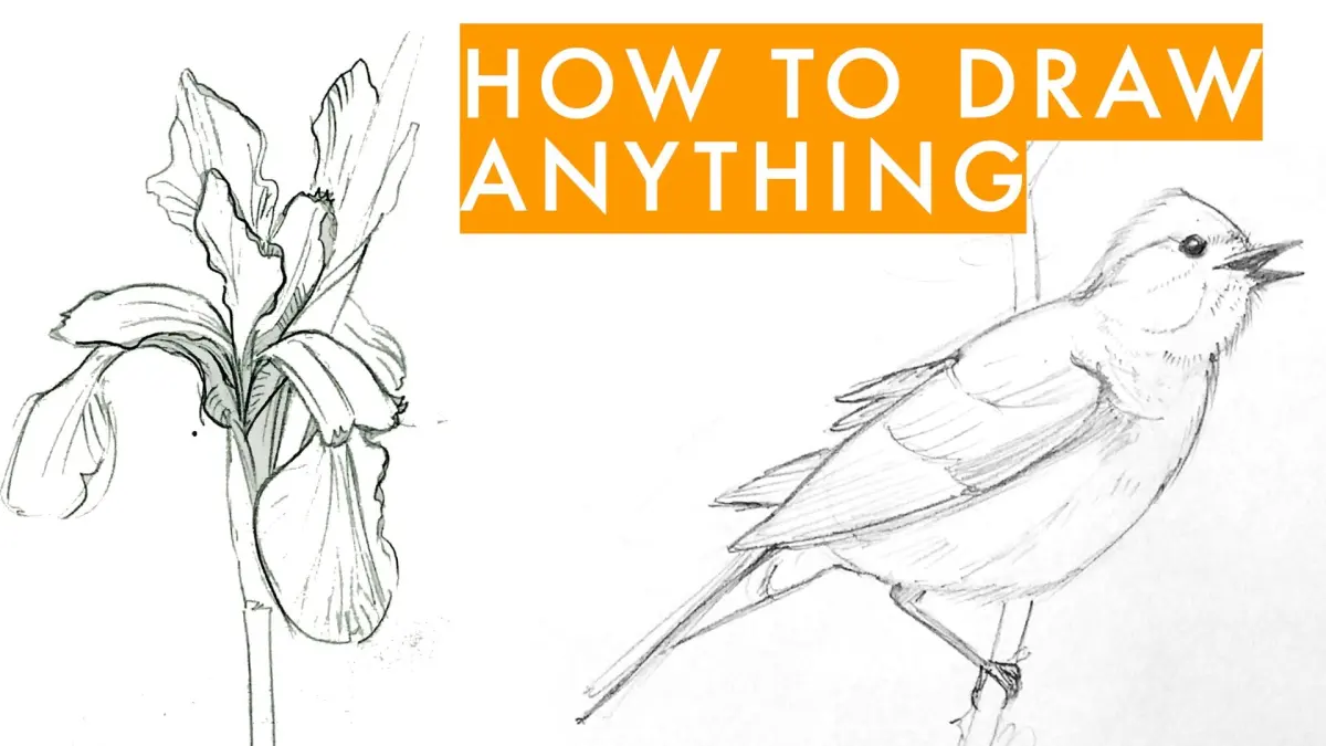Basic drawing skills — image 2