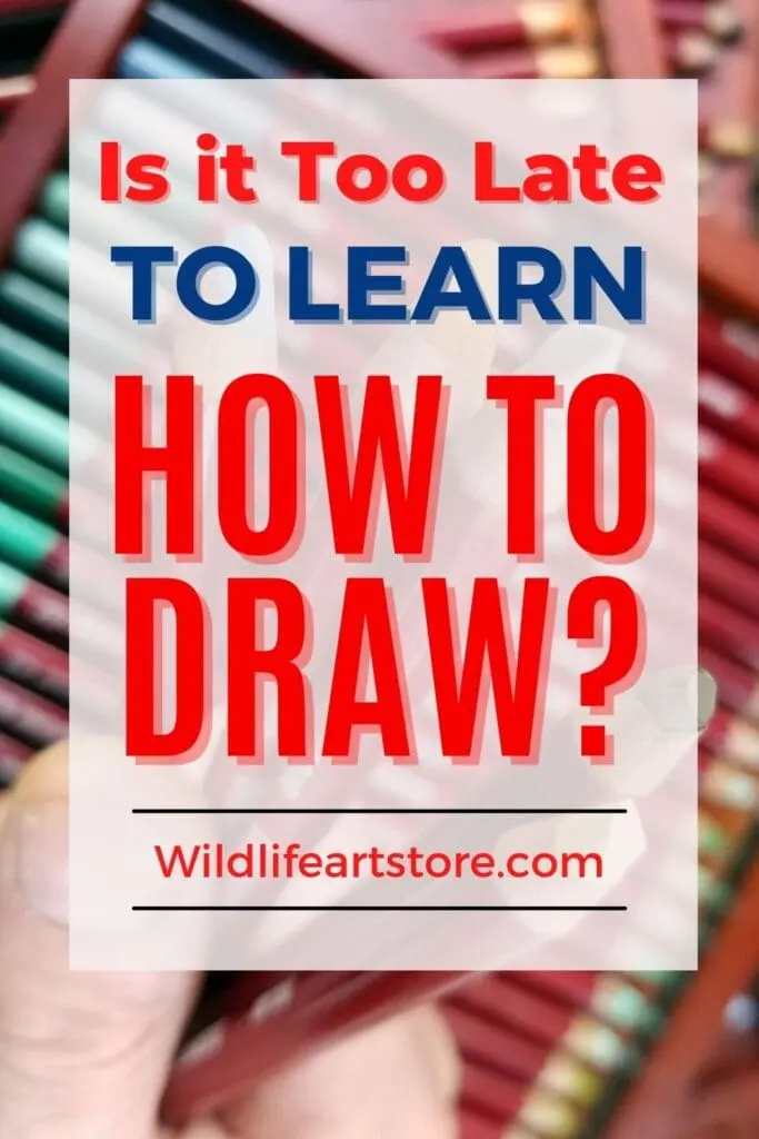 Can Adults Learn to Draw? Is it Too Late to Start Drawing?