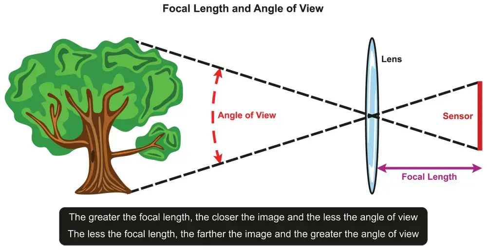 What Is Focal Length and How to Use It