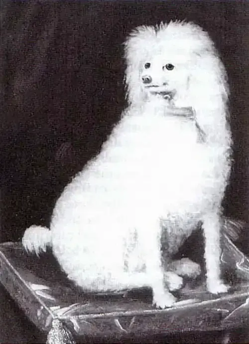 Prince Rupert's Poodle: Good Boy or Devil Dog