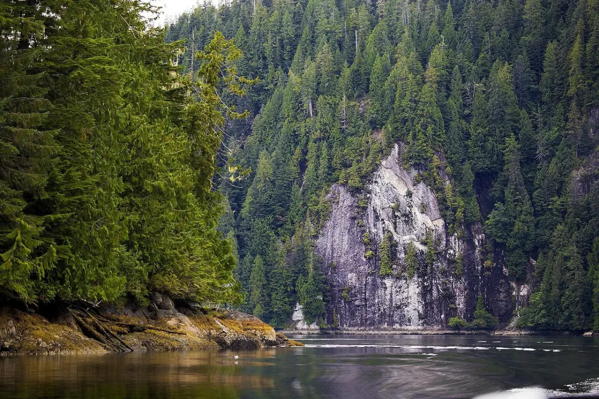 Prince Rupert, British Columbia: All You Must Know Before You Go (2026)