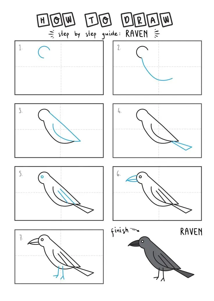 How To Draw a Black Raven (Bird)
