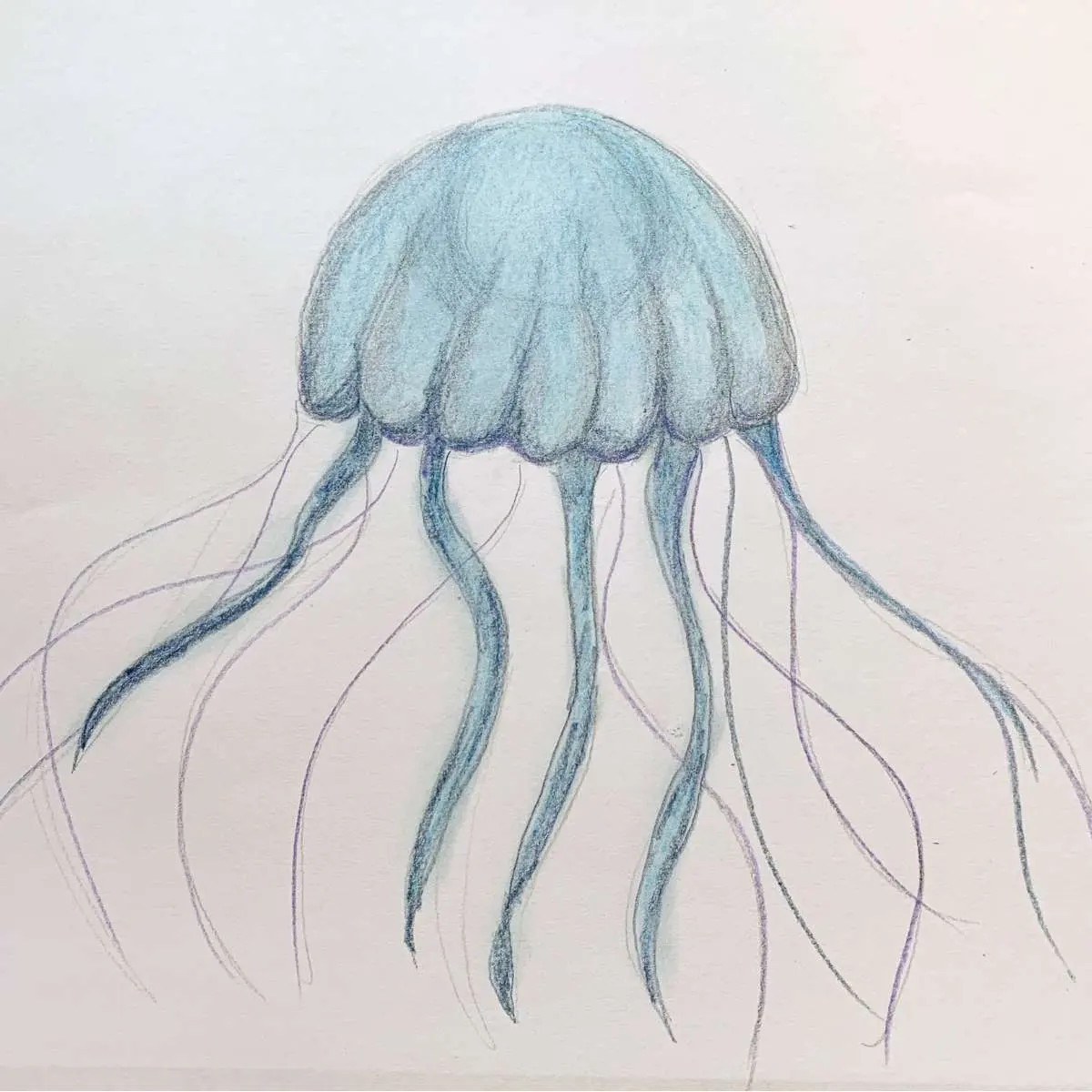 How to Draw a Jellyfish With Moving Tentacles