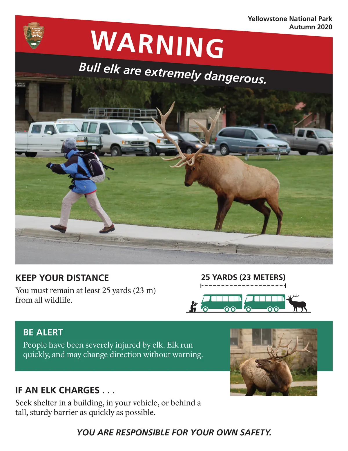 WARNING: Yellowstone's bull elk can be extremely dangerous during the rut