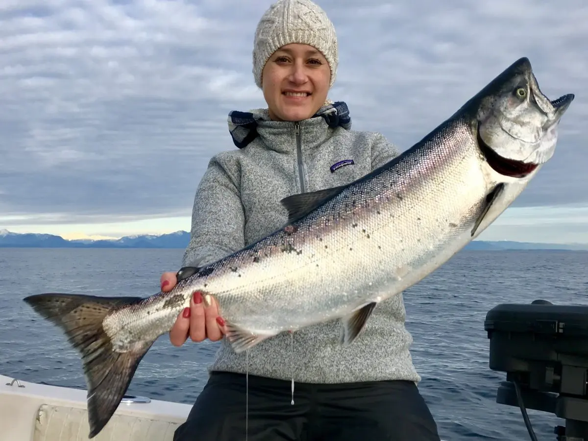 Vancouver Salmon Fishing Report: January 1, 2021