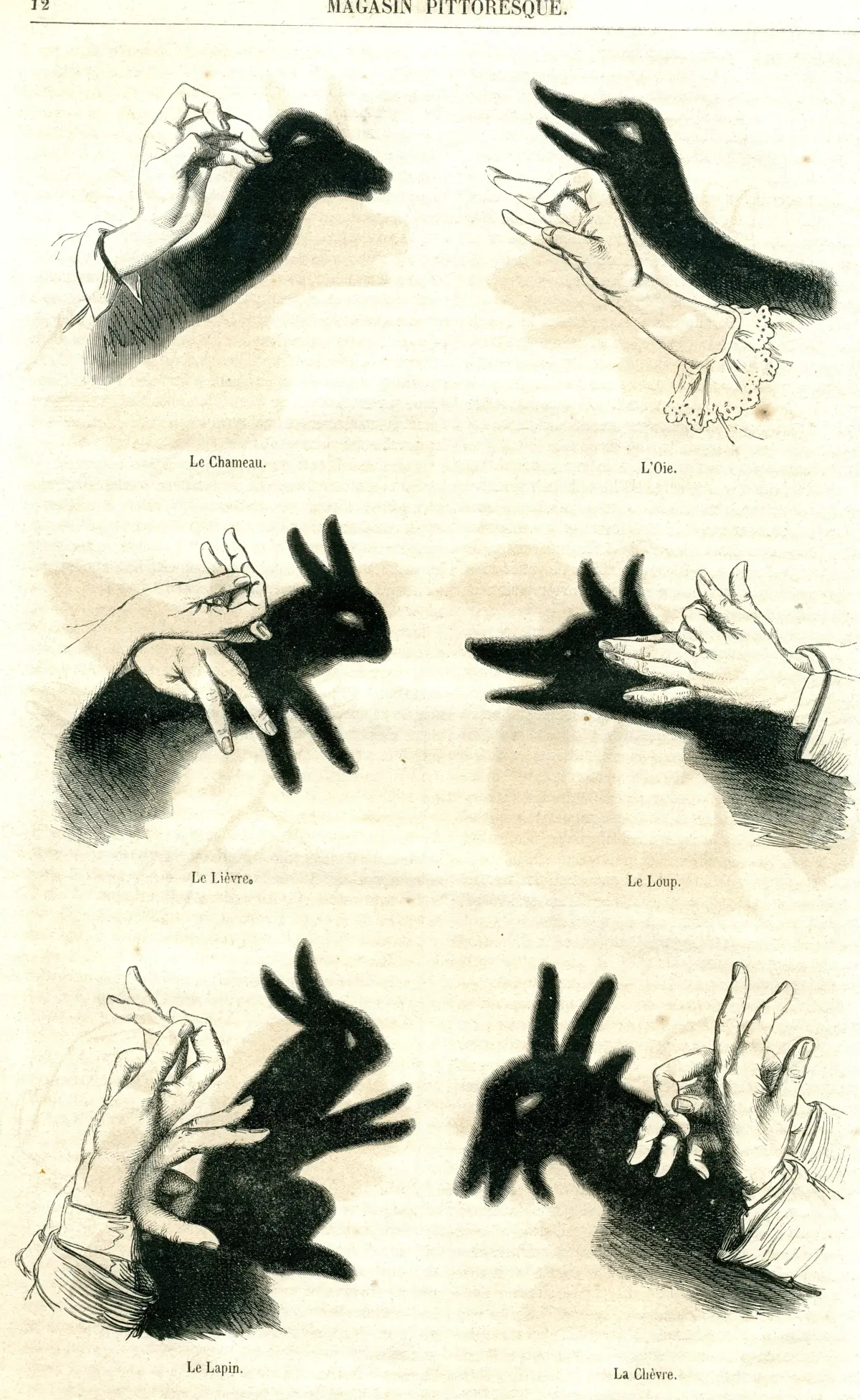 Shade hand — image 2