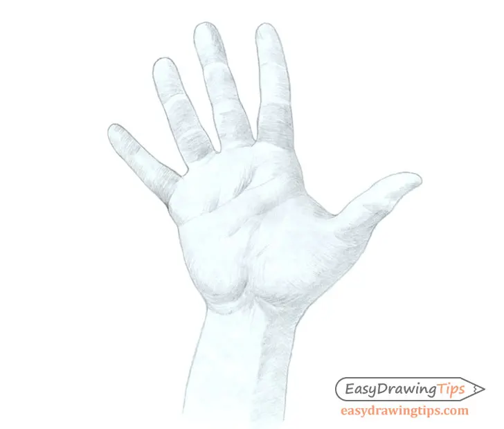 How to Draw a Hand Step by Step Tutorial