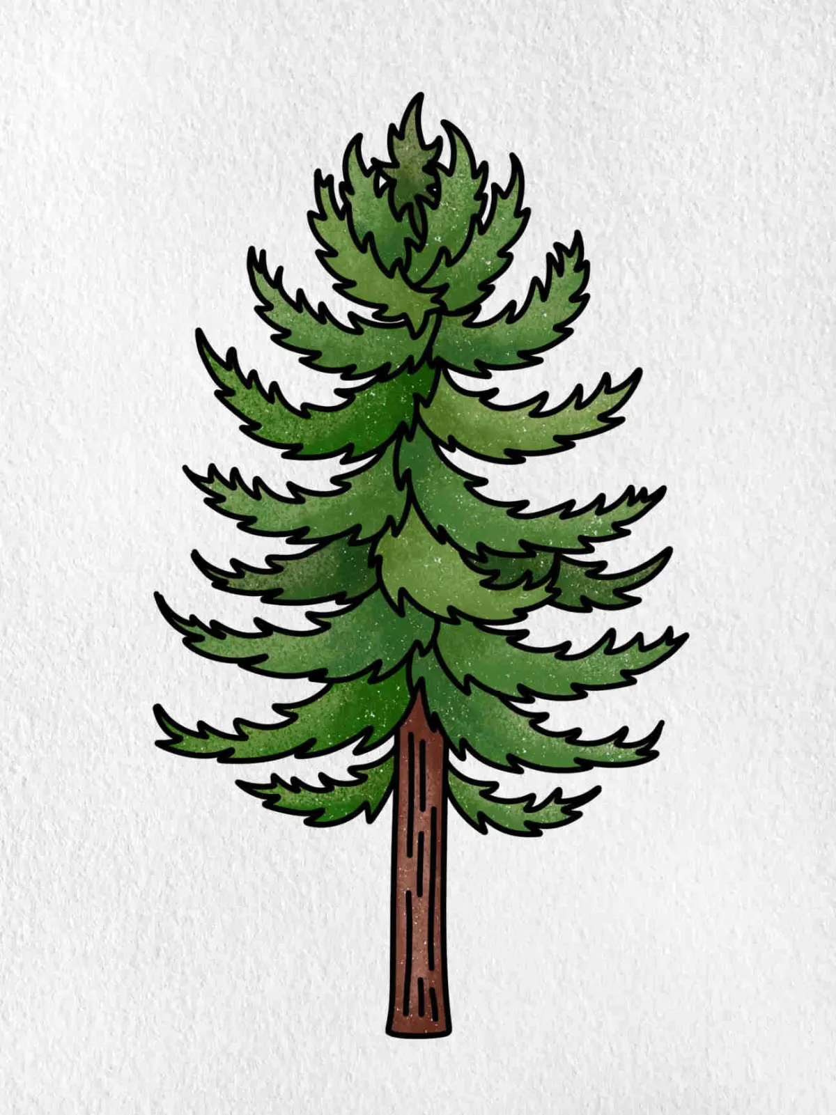 Draw a Pine Tree