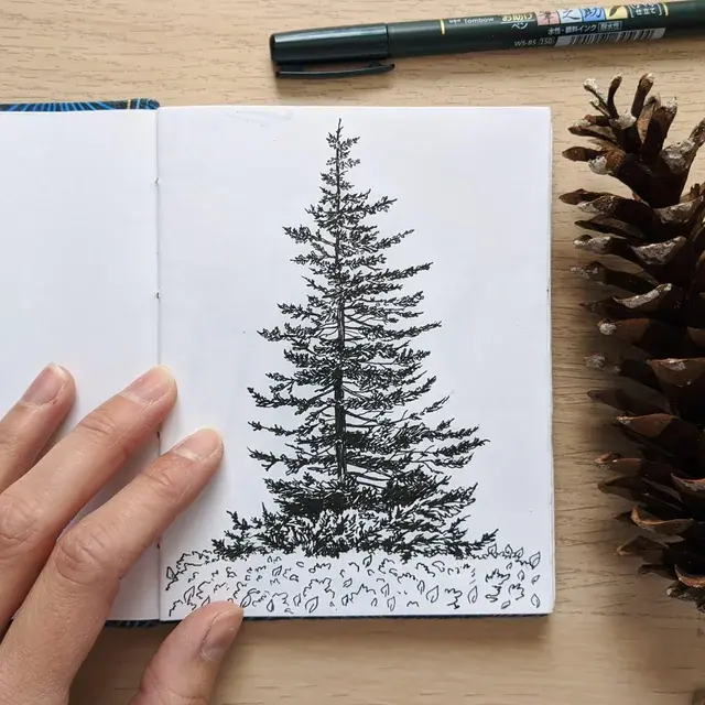 A little pine tree, ink drawing in my sketchbook