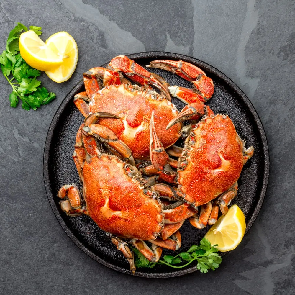 Crabs eat — image 2