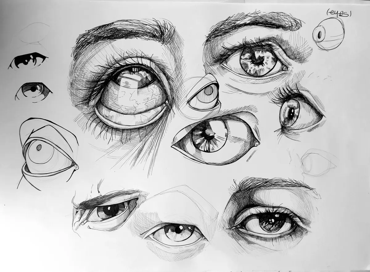 Sketch study — image 2