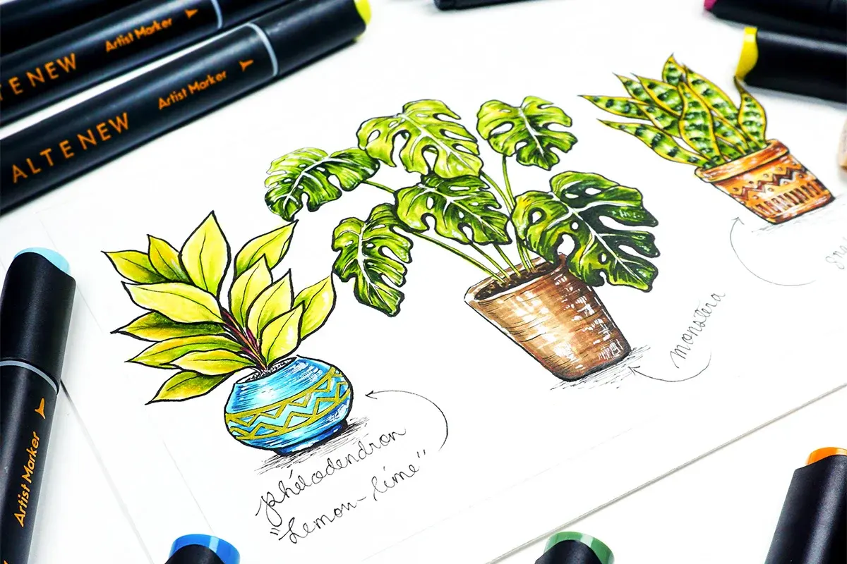 How to Draw with Alcohol Markers: A Beginner's Guide