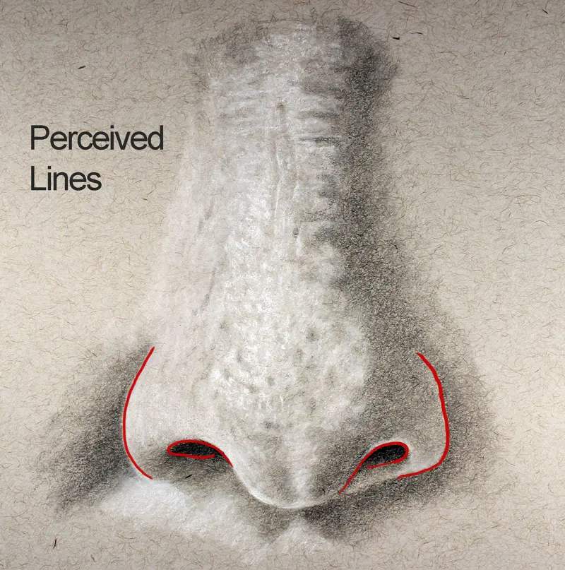 How to Draw a Nose