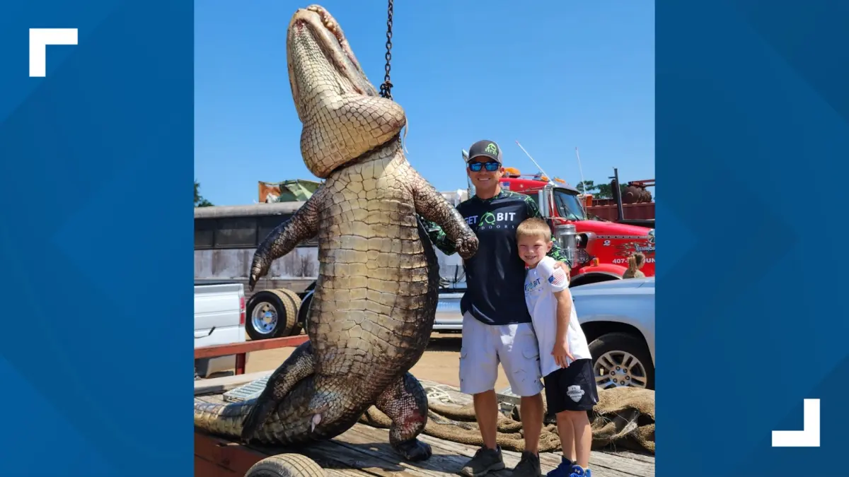 Big alligators — image 3