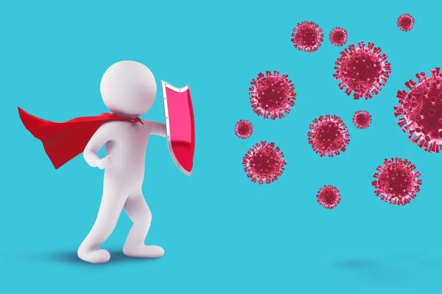 Breaking Down the Layers of the Immune System