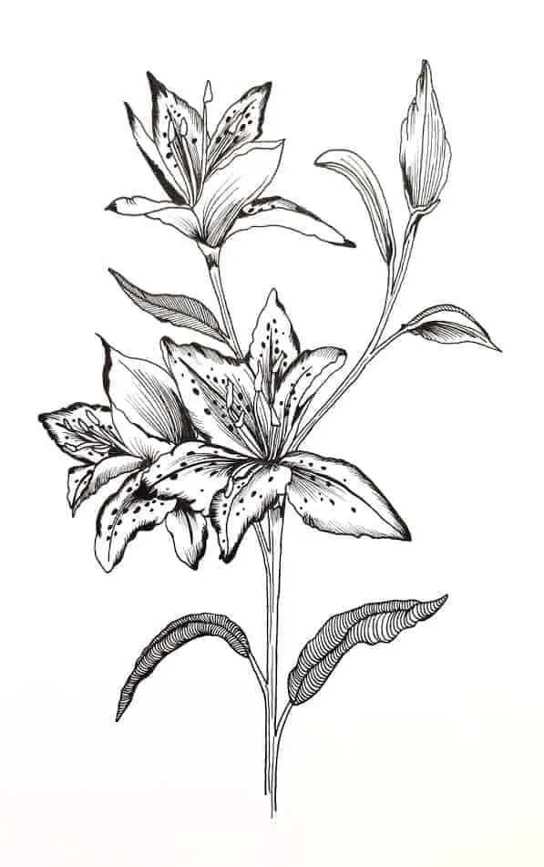 Fineliners beginners — image 2