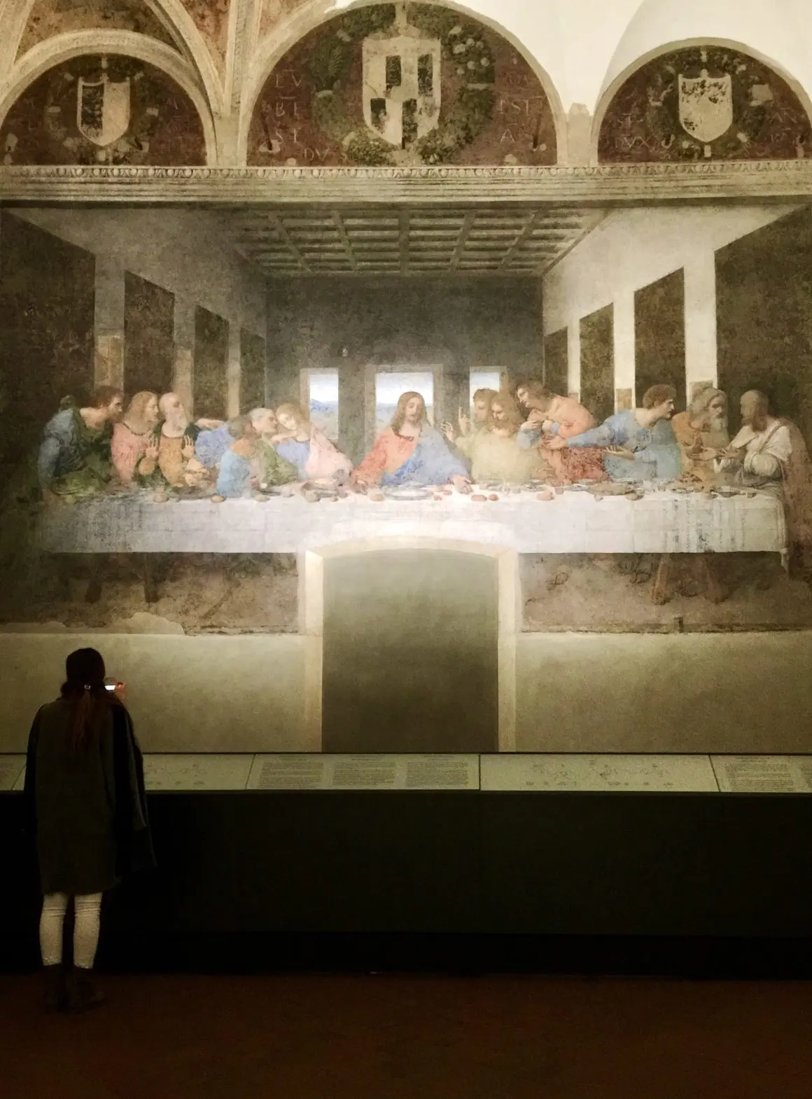 Up Close with Leonardo's Last Supper
