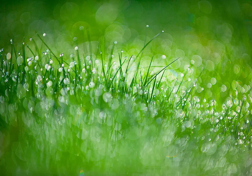 Bokeh for Beginners