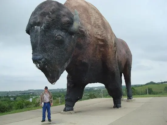 Giant bison
