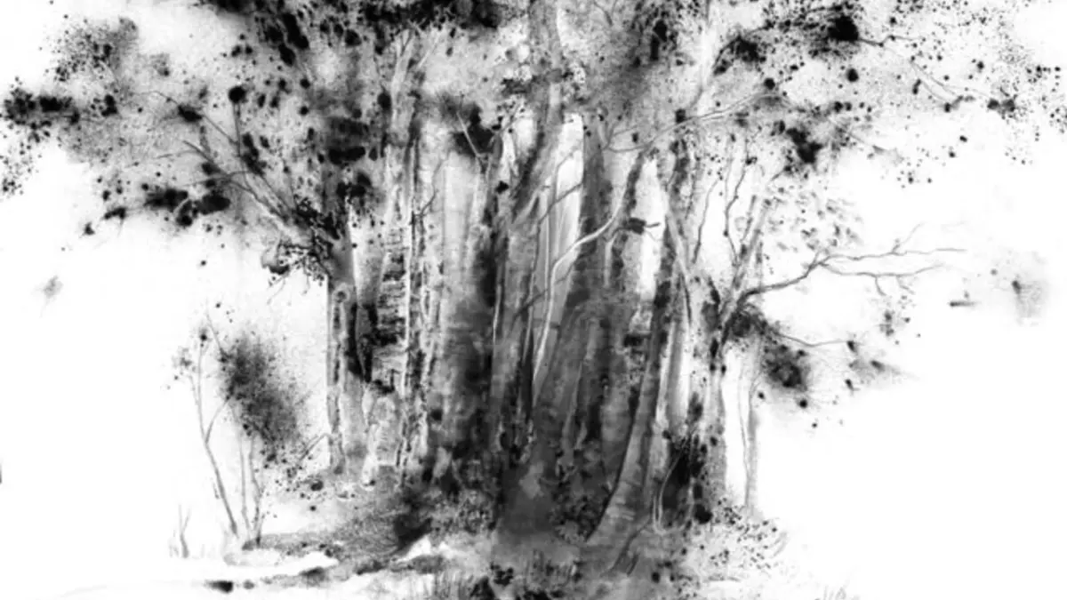 How to Draw with Graphite Powder