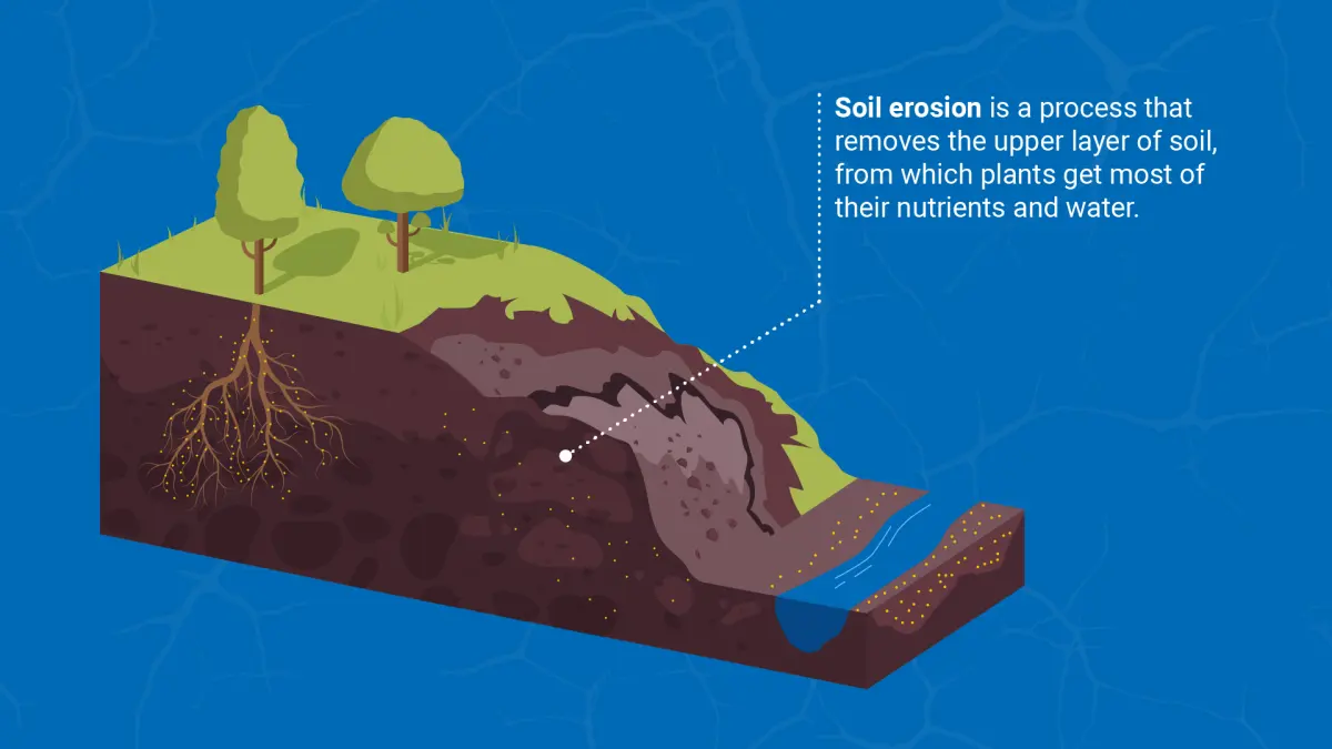 What is Soil Erosion? How Can Nuclear Techniques Help to Identify and Mitigate it?