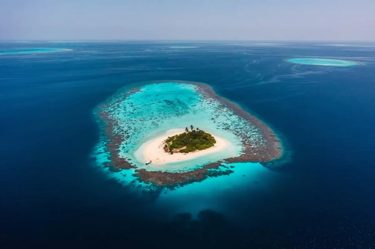 Top 10 Largest Oceans and Seas in the World